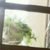 Fenster