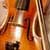 violon
